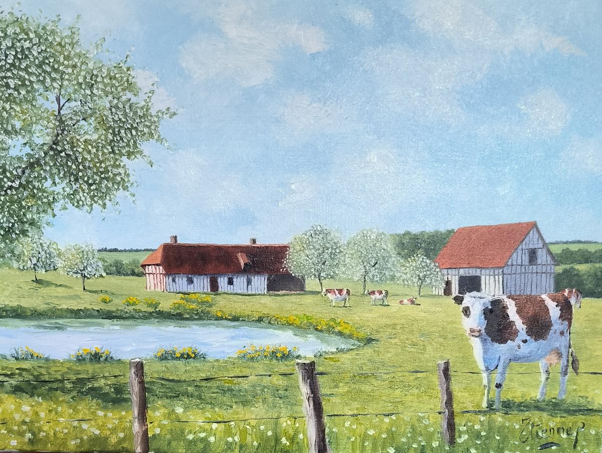 campagne, la mare, normandie, vaches