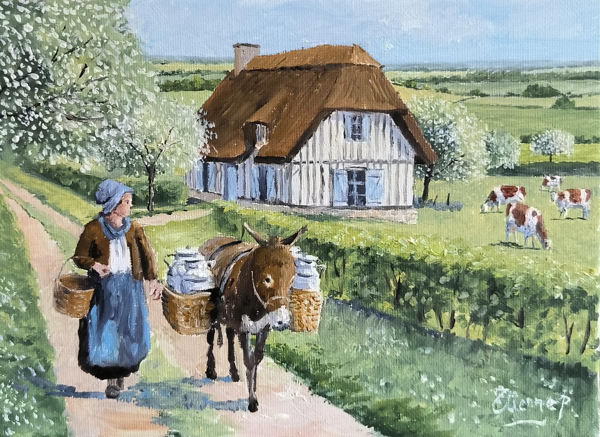 âne, fermière, campagne, Normandie